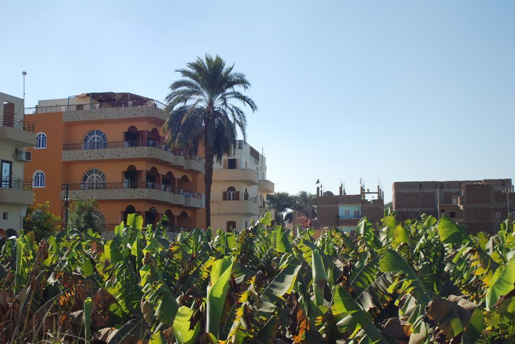Al Gezera Apartments Luxor Bilik gambar